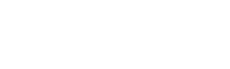 logo_br_weiss